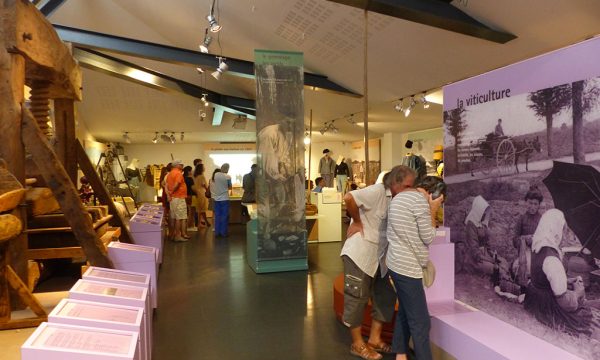 musee-oleron-visiteurs